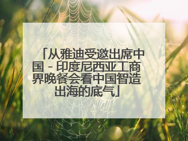 从雅迪受邀出席中国－印度尼西亚工商界晚餐会看中国智造出海的底气