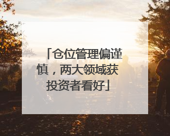 仓位管理偏谨慎，两大领域获投资者看好