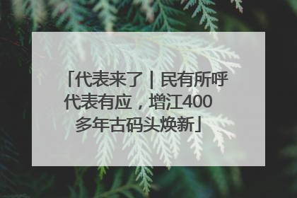 代表来了｜民有所呼代表有应，增江400多年古码头焕新