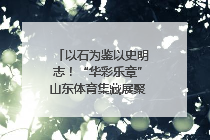 以石为鉴以史明志！“华彩乐章”山东体育集藏展聚焦“岱石丹心”
