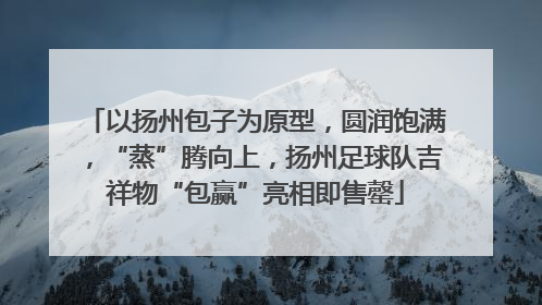 以扬州包子为原型，圆润饱满，“蒸”腾向上，扬州足球队吉祥物“包赢”亮相即售罄