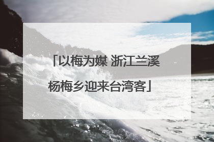 以梅为媒 浙江兰溪杨梅乡迎来台湾客