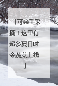 可亲手采摘！这里有超多夏日时令蔬菜上线