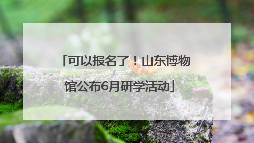 可以报名了！山东博物馆公布6月研学活动