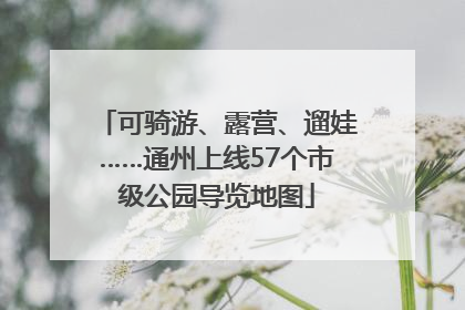 可骑游、露营、遛娃……通州上线57个市级公园导览地图