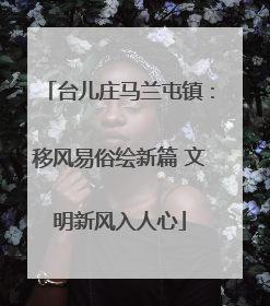 台儿庄马兰屯镇：移风易俗绘新篇 文明新风入人心