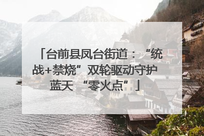 台前县凤台街道：“统战+禁烧”双轮驱动守护蓝天 “零火点”