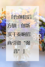 台前县后方镇：创新实干奏响招商引资“强音”