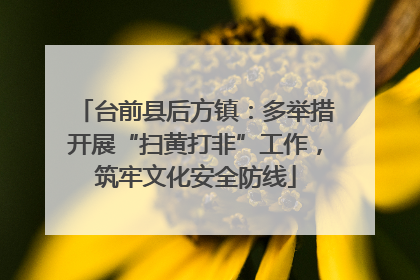 台前县后方镇：多举措开展“扫黄打非”工作，筑牢文化安全防线