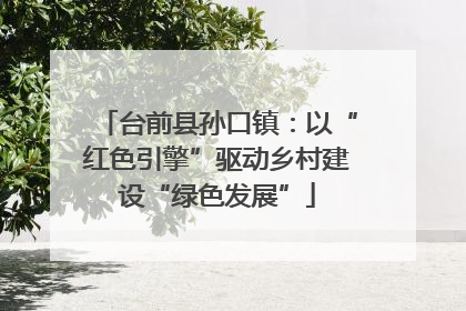 台前县孙口镇：以“红色引擎”驱动乡村建设“绿色发展”