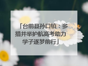 台前县孙口镇：多措并举护航高考助力学子逐梦前行