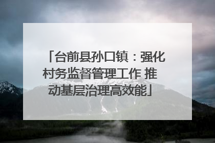 台前县孙口镇：强化村务监督管理工作 推动基层治理高效能
