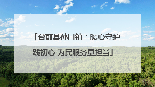 台前县孙口镇：暖心守护践初心 为民服务显担当