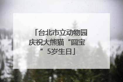 台北市立动物园庆祝大熊猫“圆宝”5岁生日