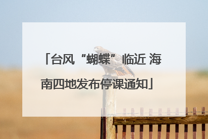 台风“蝴蝶”临近 海南四地发布停课通知