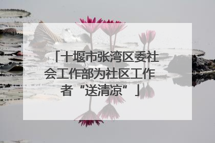 十堰市张湾区委社会工作部为社区工作者“送清凉”