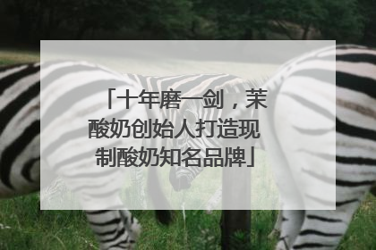 十年磨一剑，茉酸奶创始人打造现制酸奶知名品牌