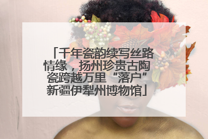 千年瓷韵续写丝路情缘，扬州珍贵古陶瓷跨越万里“落户”新疆伊犁州博物馆