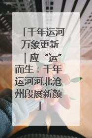 千年运河 万象更新｜应“运”而生：千年运河河北沧州段展新颜