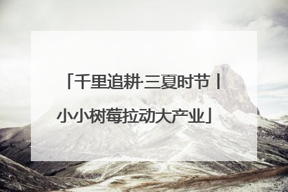 千里追耕·三夏时节丨小小树莓拉动大产业