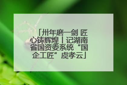 卅年磨一剑 匠心铸辉煌丨记湖南省国资委系统“国企工匠”虞孝云