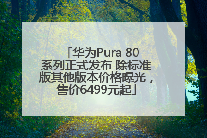 华为Pura 80系列正式发布 除标准版其他版本价格曝光，售价6499元起