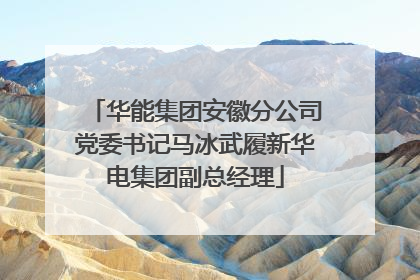华能集团安徽分公司党委书记马冰武履新华电集团副总经理
