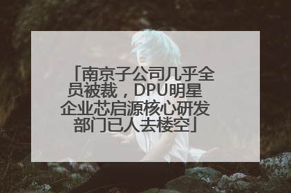 南京子公司几乎全员被裁，DPU明星企业芯启源核心研发部门已人去楼空
