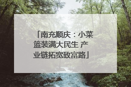 南充顺庆：小菜篮装满大民生 产业链拓宽致富路