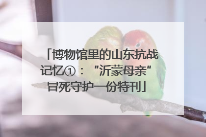 博物馆里的山东抗战记忆①：“沂蒙母亲”冒死守护一份特刊