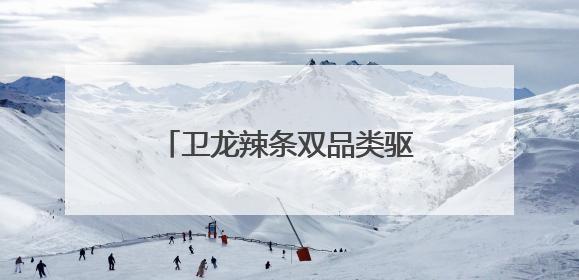 卫龙辣条双品类驱动，领航辣味休闲食品行业千亿赛道