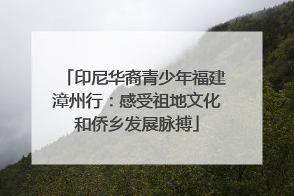印尼华裔青少年福建漳州行：感受祖地文化和侨乡发展脉搏