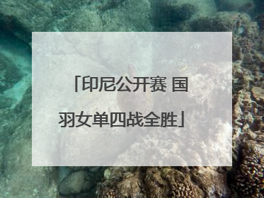 印尼公开赛 国羽女单四战全胜