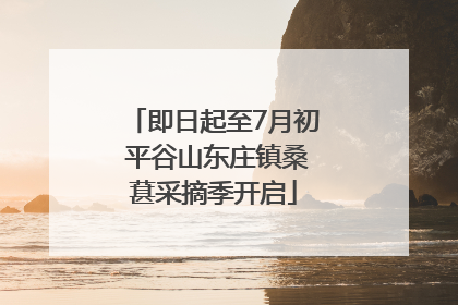 即日起至7月初 平谷山东庄镇桑葚采摘季开启