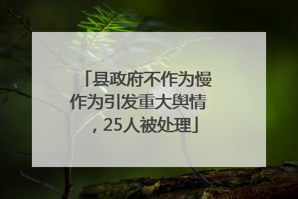 县政府不作为慢作为引发重大舆情，25人被处理