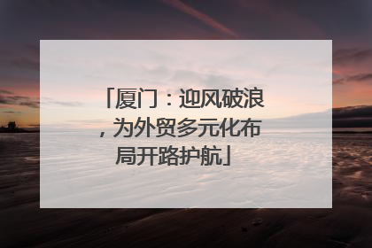 厦门：迎风破浪，为外贸多元化布局开路护航