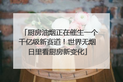 厨房油烟正在催生一个千亿级新赛道！世界无烟日里看厨房新变化
