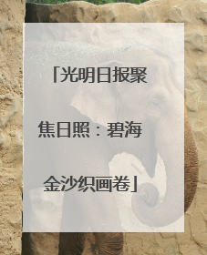 光明日报聚焦日照：碧海金沙织画卷