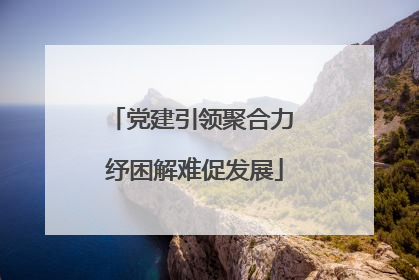 党建引领聚合力 纾困解难促发展