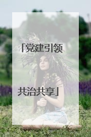 党建引领 共治共享