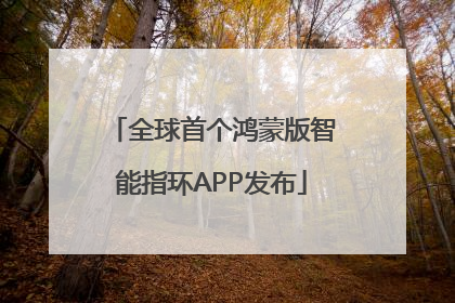 全球首个鸿蒙版智能指环APP发布