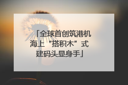 全球首创筑港机海上“搭积木”式建码头显身手