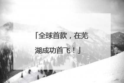 全球首款，在芜湖成功首飞！