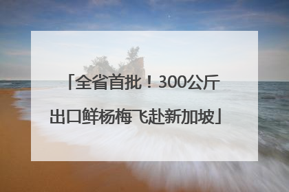全省首批！300公斤出口鲜杨梅飞赴新加坡