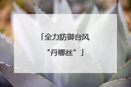 全力防御台风“丹娜丝”