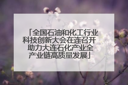 全国石油和化工行业科技创新大会在连召开 助力大连石化产业全产业链高质量发展