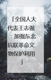 全国人大代表王志强：加强东北抗联革命文物保护利用