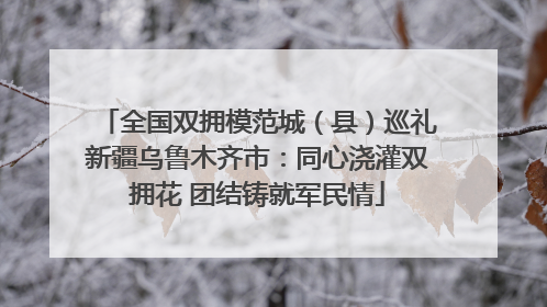 全国双拥模范城（县）巡礼新疆乌鲁木齐市：同心浇灌双拥花 团结铸就军民情