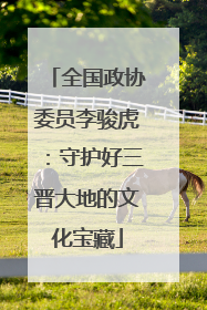 全国政协委员李骏虎：守护好三晋大地的文化宝藏