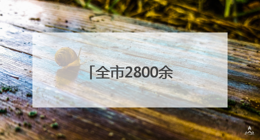 全市2800余名志愿者化身爱心“护考团”
